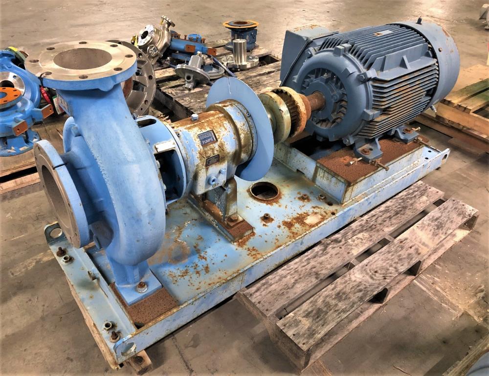 Goulds 3196 XLT-X Centrifugal Pump, 6"x8"-13", CZ100 Nickel w/ 100 HP Motor